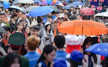 Sáng nay, gần 600 gian tư vấn trong 'siêu Chủ nhật' tuyển sinh tại TP.HCM và Hà Nội