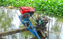 Phân bón, xăng dầu tăng giá, nông dân miền Tây ngóng ra đồng mà sốt ruột