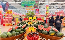 Hàng ngàn héc ta dưa hấu vào vụ thu hoạch rộ, Gia Lai nhờ các tỉnh hỗ trợ tiêu thụ