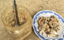 Gia đình ăn cá ủ chua, 3 trẻ nghi ngộ độc botulinum