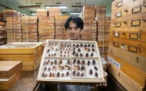 'Chúa gián Philippines': 'Thực ra gián cũng đáng yêu lắm'