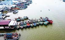 Ngư dân tìm cách giảm chi phí, bám biển