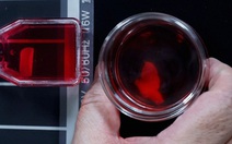 Nhật Bản lần đầu cho phép thương mại hóa thuốc từ tế bào iPS