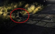 Người đàn ông ngồi giữa đường ray bị tàu hỏa tông chết