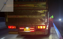 Nổ lốp, dừng xe trên cao tốc không đặt cảnh báo, tài xế bị phạt 13 triệu