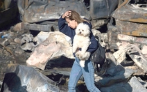 Mỹ - Iran: Ngừng bắn mong manh, đàm phán gian nan