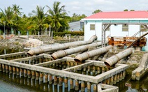 Miền Tây sống chung với hạn mặn, không chống mặn bằng mọi giá