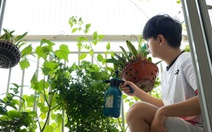 1.001 cách tiết kiệm điện: Bắt đầu từ một thay đổi nhỏ