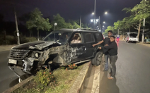 'Ma men' leo lên cây trốn sau khi trộm ô tô gây tai nạn vì không biết lái