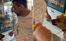 Tránh vỏ dưa gặp ngay 'Cậu Vàng'