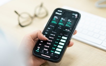 Chứng khoán Việt Nam tăng gần 17 điểm, hòa cùng sắc xanh châu Á