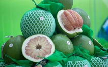 Ký nghị định thư xuất khẩu bưởi, chanh sang Trung Quốc