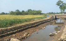 Mặn xâm nhập sâu ở Đà Nẵng, phải bơm lách mặn cứu lúa