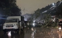 Bắc Bộ có nơi mưa to đêm nay, cảnh báo dông lốc, mưa đá