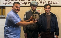 Tê tê bò vào tầng hầm quán nhậu ở Đà Lạt, chủ quán gọi báo kiểm lâm