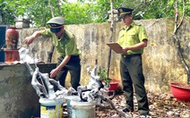 Thanh Hóa ngăn chặn khai thác, buôn bán cây muội hồng