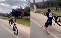 Chàng trai làm xiếc với xe đạp bị gà quật ngã