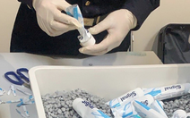 Vụ ma túy liên quan tiếp viên Vietnam Airlines: Truy tố người mẫu An Tây, Chi Dân và 225 bị can