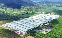 Nhiều doanh nghiệp tiềm năng tiên phong dẫn dắt nền kinh tế Gia Lai