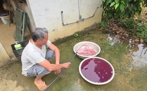 Vụ nước giếng đổi màu tím: Yêu cầu doanh nghiệp dừng giặt, khắc phục ô nhiễm