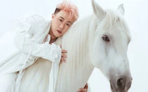 Trung Quân tiết lộ thi chông gai, chồng nạn nhân công khai tin nhắn riêng tư có sai luật?