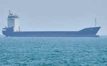 Iran tuyên bố bắt giữ 2 tàu cố vượt qua eo biển Hormuz