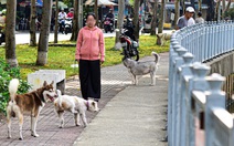 Nuôi chó: Làm ơn hãy biết ngượng và biết điều!