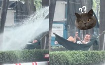 Đang ngủ trưa thì gặp ngay 'cơn mưa ngang qua'