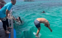 Muôn kiểu tiếp nước của người mới học bơi