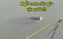 Cần thủ nổi quạu vì bị cá trêu ngươi