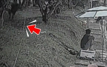 Cần thủ rơi xuống hồ vì bị... 'Lamborghini' dí