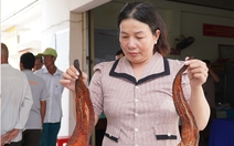 Đem cá chết đến cuộc họp, người nuôi cá đề nghị làm rõ ảnh hưởng dự án sân bay Cà Mau
