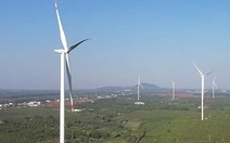 Nhà đầu tư tiếp tục đổ tiền vào điện gió, điện mặt trời tại Gia Lai, tổng vốn 11.350 tỉ đồng