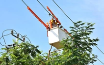 Nắng nóng đầu mùa: Chủ động sử dụng điện tiết kiệm để tránh ‘sốc’ tiền điện