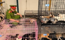Công an bắt nhóm trộm hơn 300 con mèo ở Hà Nội