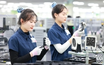 GDP quý 1-2026 tăng hơn 7,8%, lạm phát tăng do biến động giá xăng dầu