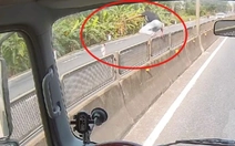 Tìm được danh tính tài xế dừng xe, lao ra bế cháu bé đứng giữa quốc lộ