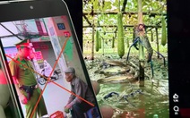 Mê hồn trận AI trên mạng xã hội