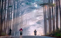 Những cung đường bồng bềnh Đà Lạt mùa săn mây