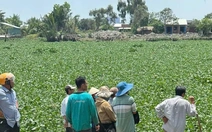 Tìm thấy thi thể hai cháu bé đuối nước trên sông Vàm Cỏ Tây sau hai ngày