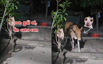 Bố gọi 'con gái' vào ăn cơm như bình thường nhưng lại khiến dân mạng bất ngờ