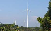 15 dự án điện gió, điện mặt trời hưởng giá FIT tại Gia Lai được gỡ vướng
