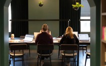 Công ty thưởng tiền để nhân viên lên văn phòng làm việc