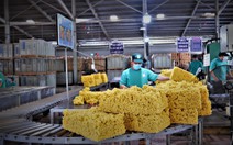 Tập đoàn Công nghiệp Cao su Việt Nam đặt mục tiêu năm 2030 doanh thu khoảng 50.000 tỷ đồng