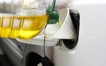 Rủi ro từ trào lưu sử dụng dầu ăn thay dầu diesel tại CH Czech