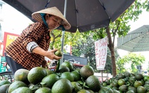 Nền nông nghiệp Việt không thể vận hành bằng may rủi
