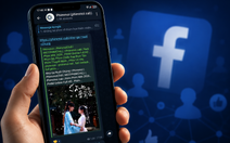 Phim, game lậu chuyển sang hội kín Telegram, Facebook sau các đợt siết bản quyền