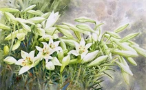 Từ biển khơi mênh mông tới phố thị quyến rũ, loa kèn tháng tư và tâm tưởng con người