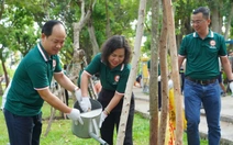 Trồng thêm cây xanh tại công viên Lê Văn Tám, vỉa hè đường Hoàng Sa dịp 50 năm TP.HCM mang tên Bác