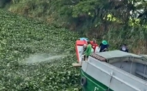 Xôn xao clip người dân phun thuốc diệt lục bình trên kênh